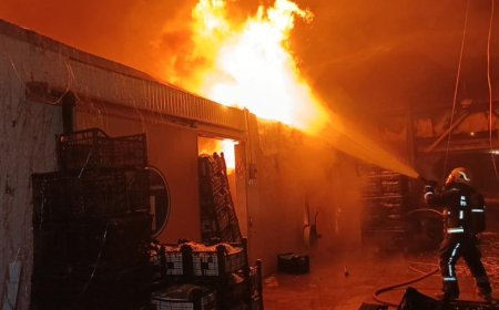 Manavgat'ta Korkutan Yangın: Muz Tesisi Alevlere Teslim!