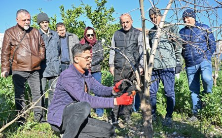 Doğru Budama, Yüksek Verim: ATASEM’den Üreticiye Altın Değerinde Eğitim