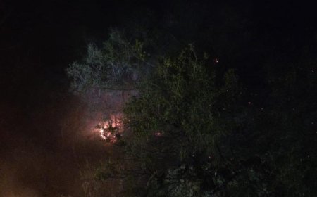 Hızlı Müdahale Facianın Önüne Geçti: Alanya’da Orman Yangını Söndürüldü