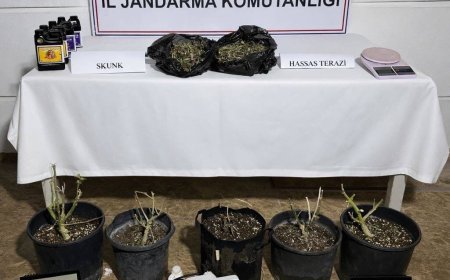 Antalya Aksu’da Evini Uyuşturucu Serasına Çeviren Şüpheliye Jandarma Baskını!