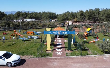 Antalya’da Hayvan Dostlarına Müjde: Pati Park Kapılarını Açtı