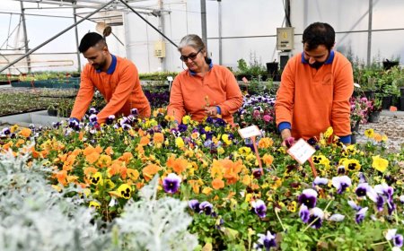 Muratpaşa’da Öz Kaynak Dönemi: Çiçeğini Kendi Üreten Belediye!