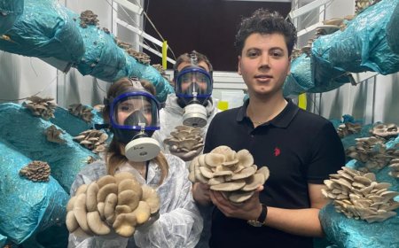 Hobi Olarak Başladı, Antalya’nın En Büyük Mantar Üreticilerinden Biri Oldu