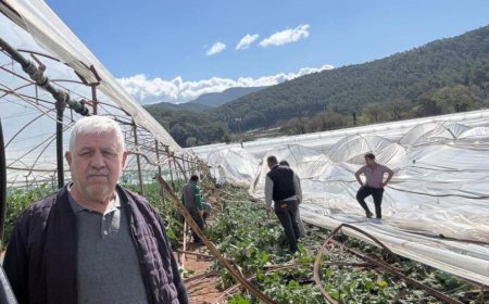 Antalya'da Fırtınanın Bilançosu Ağır: Seralar Kullanılamaz Hale Geldi