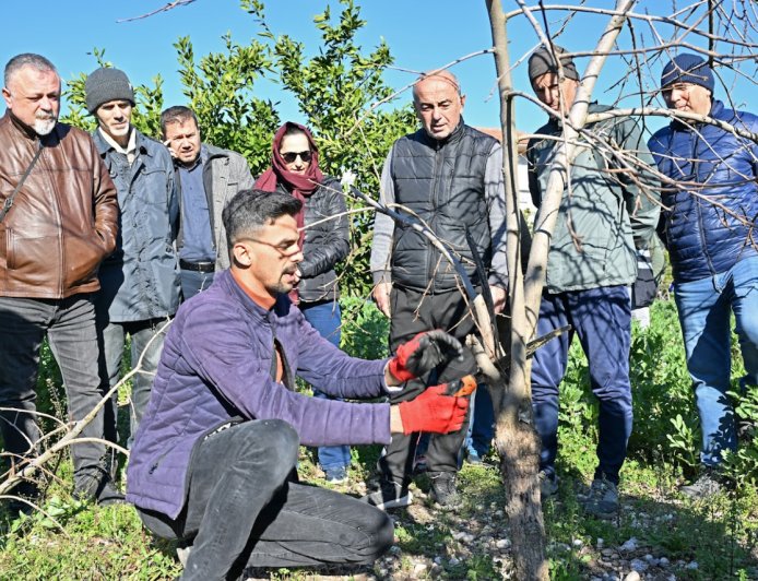 Doğru Budama, Yüksek Verim: ATASEM’den Üreticiye Altın Değerinde Eğitim