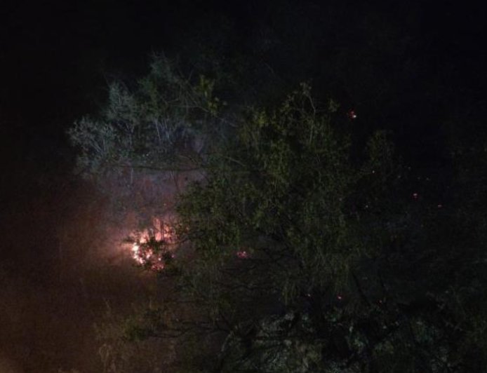 Hızlı Müdahale Facianın Önüne Geçti: Alanya’da Orman Yangını Söndürüldü