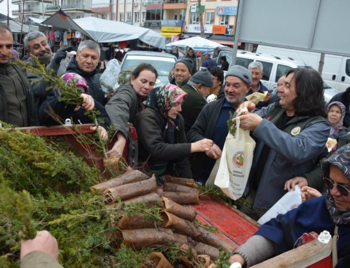Korkuteli’nde Yeşil Seferberlik: 1000 Fidan Toprakla Buluşmak İçin Dağıtıldı!