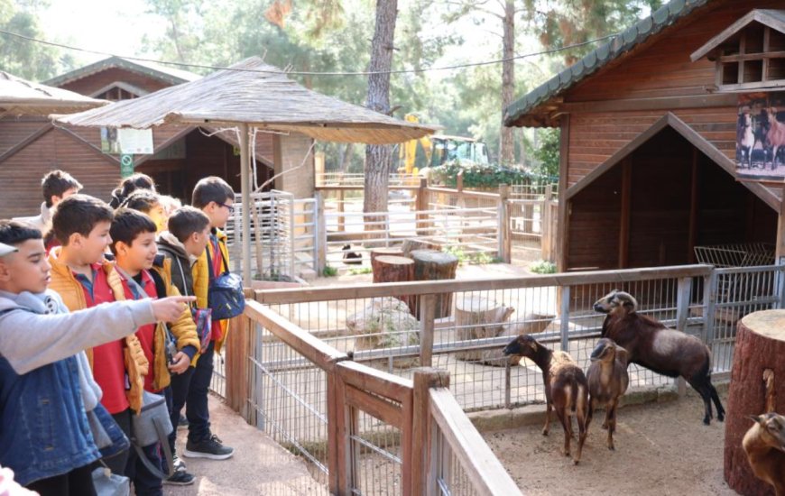 Antalya Doğal Yaşam Parkı’nda Minik Kaşifler: Yaban Hayatını Yerinde Öğrendiler