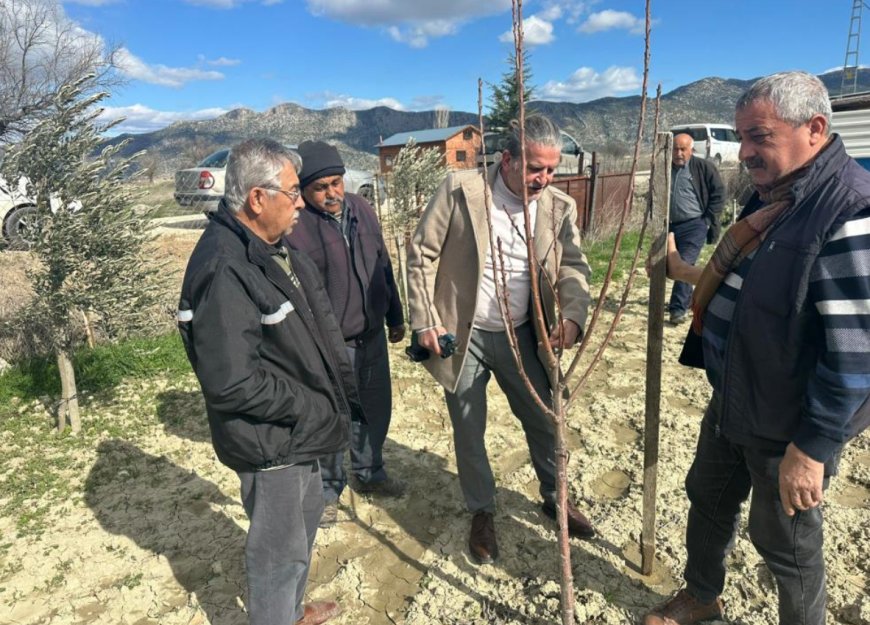 Korkuteli’nde Üreticilere Uygulamalı Budama Eğitimi Verildi