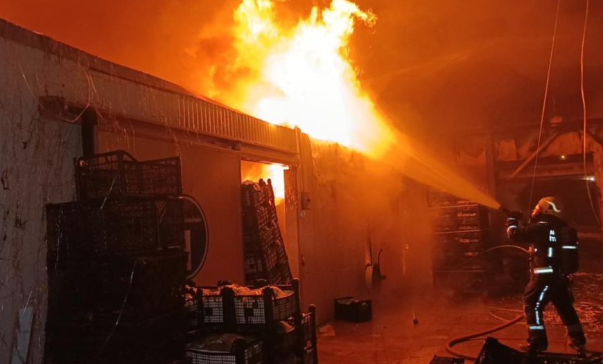 Manavgat'ta Korkutan Yangın: Muz Tesisi Alevlere Teslim!