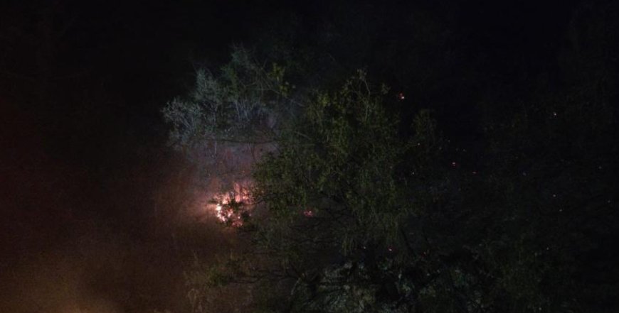 Hızlı Müdahale Facianın Önüne Geçti: Alanya’da Orman Yangını Söndürüldü