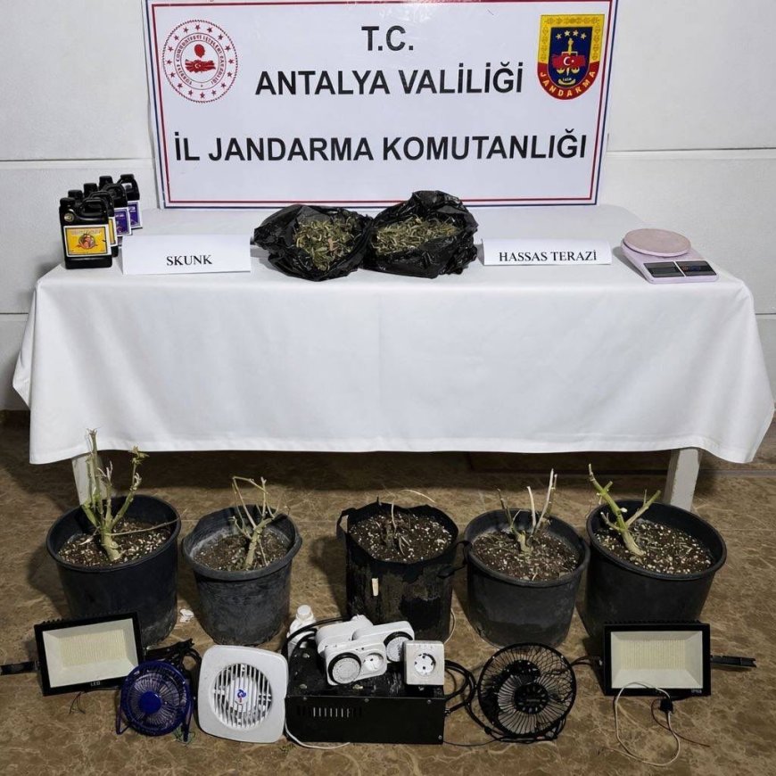 Antalya Aksu’da Evini Uyuşturucu Serasına Çeviren Şüpheliye Jandarma Baskını!