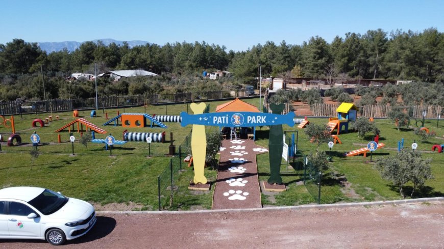 Antalya’da Hayvan Dostlarına Müjde: Pati Park Kapılarını Açtı