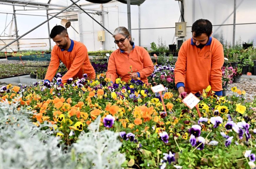 Muratpaşa’da Öz Kaynak Dönemi: Çiçeğini Kendi Üreten Belediye!