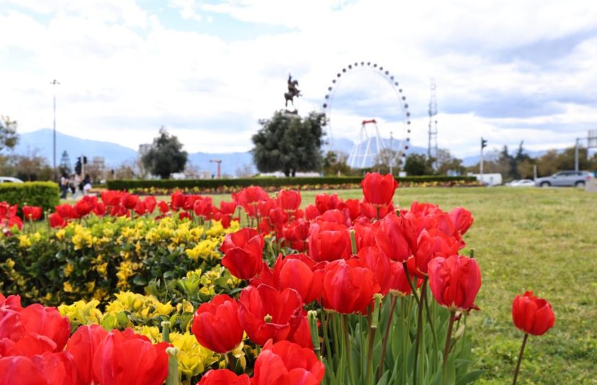 Antalya’da Lale Mevsimi: Şehrin Dört Bir Yanında Görsel Şölen