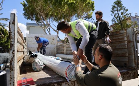 Kumluca’da Hortum Yaraları Sarılıyor: Büyükşehir’den Çiftçiye 48 Saatte Destek!