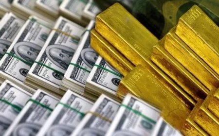 Merkez Bankası Rezervlerinde Dev Artış: Bir Haftada 6 Milyar Dolar
