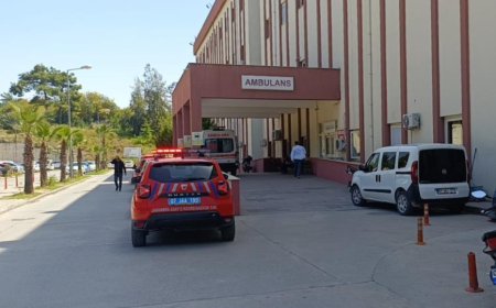 Manavgat’ta Mucize Kurtuluş: 4 Yaşındaki Zeynep’i "Çiçekler" Korudu!