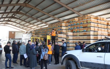 Antalya Büyükşehir'den Arıcılara Dev Destek: 1.200 Kovan Üreticiyle Buluştu