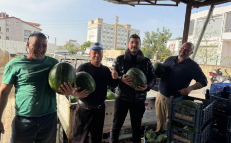 Kışın Ortasında Bahar Müjdesi: Serik’te Karpuz Mesaisi