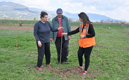 Korkuteli'de Bir İlk: İpek Böcekçiliği İçin İlk Fidanlar Toprakla Buluştu