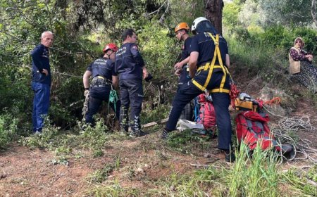 Alanya'da Yürek Burkan Olay: 9 Aylık İnek Düştüğü Mağarada Can Verdi