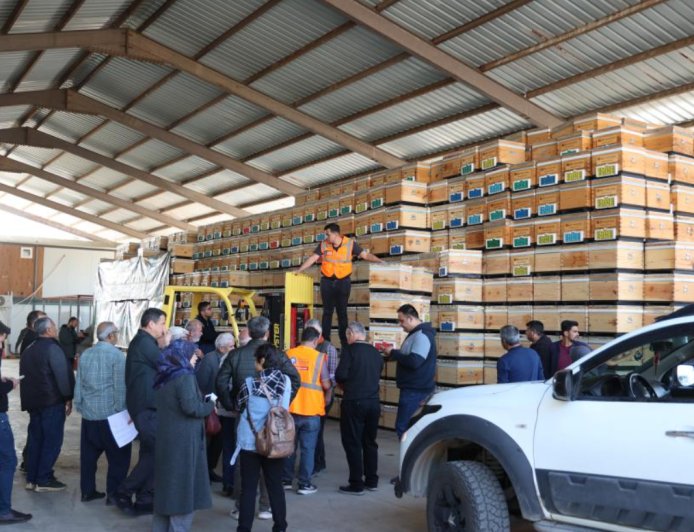 Antalya Büyükşehir'den Arıcılara Dev Destek: 1.200 Kovan Üreticiyle Buluştu