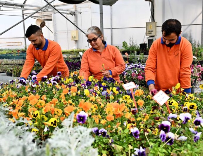 Falezler Çiçek Açıyor: Muratpaşa’da Çiçek Desenleri Günleri Başlıyor