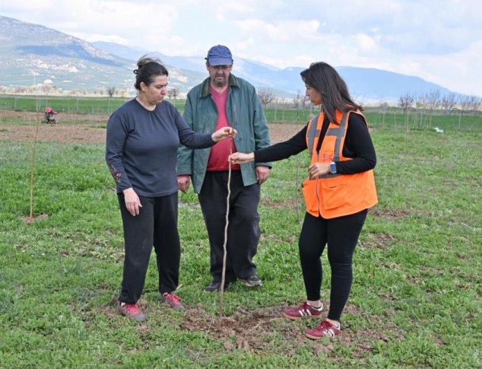 Korkuteli'de Bir İlk: İpek Böcekçiliği İçin İlk Fidanlar Toprakla Buluştu