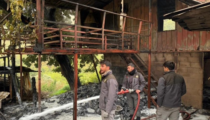 Alanya Akçatı’da Korkutan Yangın: Müstakil Ev Alevlere Teslim Oldu