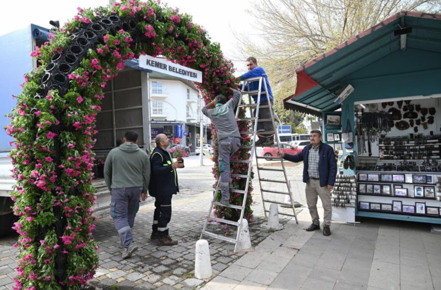 Kemer Sezona "Petunya" Makyajıyla Giriyor: İlçede Çiçek Seferberliği!