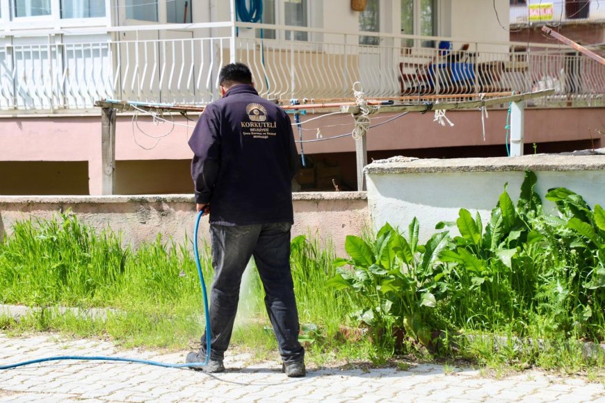 Antalya Korkuteli’nde Bahar Mesaisi: İlaçlama ve Temizlik Çalışmaları Hız Kazandı