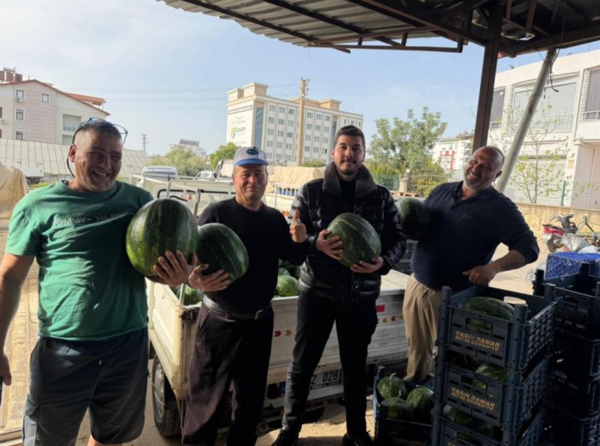 Kışın Ortasında Bahar Müjdesi: Serik’te Karpuz Mesaisi