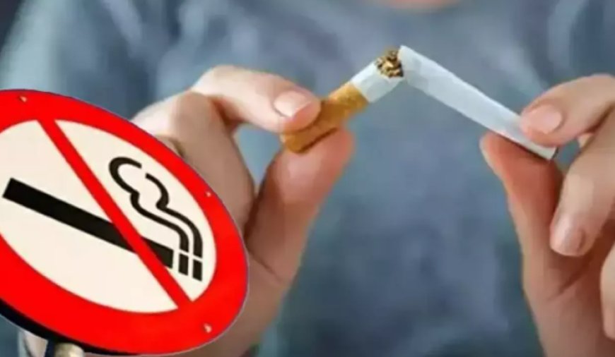 Korkunç Tablo Netleşti: Sigara Her Yıl Milyonları Hayattan Koparıyor