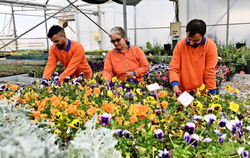 Falezler Çiçek Açıyor: Muratpaşa’da Çiçek Desenleri Günleri Başlıyor