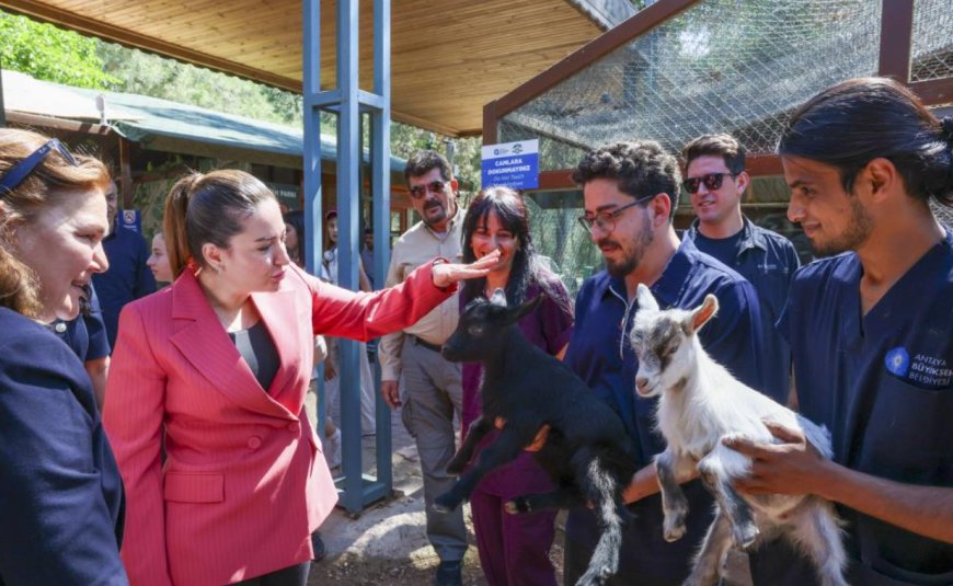 Antalya Büyükşehir’den Veteriner Hekimlere Anlamlı Ziyaret