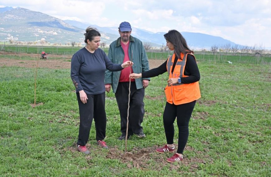Korkuteli'de Bir İlk: İpek Böcekçiliği İçin İlk Fidanlar Toprakla Buluştu