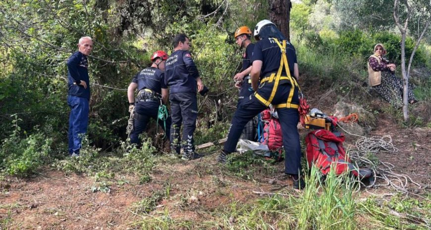 Alanya'da Yürek Burkan Olay: 9 Aylık İnek Düştüğü Mağarada Can Verdi