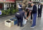 Serik'te Patlıcan Hasadı Vatandaşa Kaldı: Seranın Kapıları Ücretsiz Açıldı.