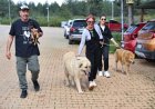 Antalya’da Can Dostlar Yeni Yuvalarını Bekliyor: Satın Almayın, Sahiplenin!