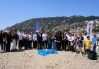 Deniz Altında Gizli Kahramanlar: Zararlı Bakterilere Karşı Mikroorganizma Hamlesi