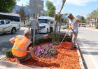 Kemer’e Büyükşehir Estetiği: Çevre Dostu Dokunuşlarla Yepyeni Bir Görünüm!