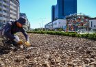 Antalya’da Peyzajda Tasarruf Devrimi: Su ve Enerji Tüketimi Yüzde 50 Azaldı