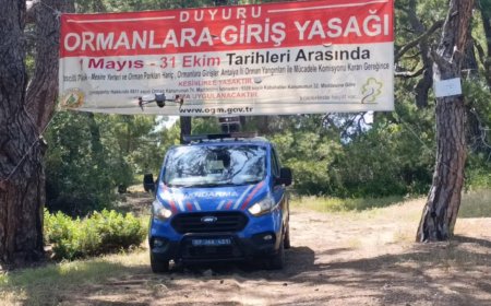 Antalya Valiliği Genelgeyi Yayımladı: Ormanlara Giriş 31 Ekim'e Kadar Yasak!