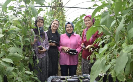Aynı Serada Üç Nesil: Anneanne, Anne ve Torunun Üretim Aşkı