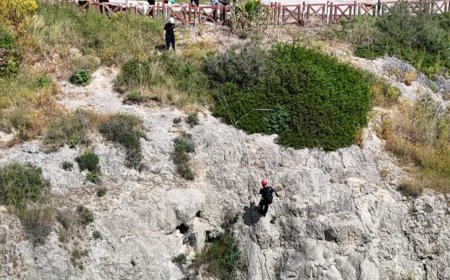 Teknoloji Hayat Kurtardı: Falezlerin Ortasındaki Köpeğe Dron Yardımıyla Ulaşıldı