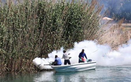 Antalya Büyükşehir’den Halk Sağlığı İçin Dev Kadro: 1600 Personelle Vektör Seferberliği