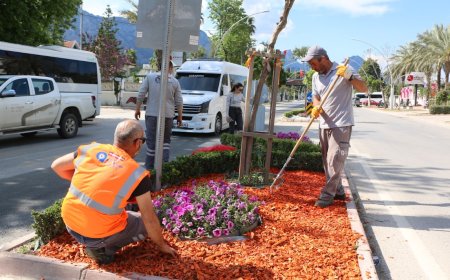 Kemer’e Büyükşehir Estetiği: Çevre Dostu Dokunuşlarla Yepyeni Bir Görünüm!