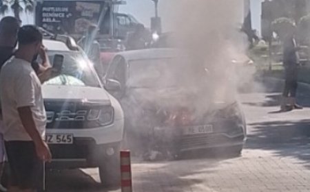 Alanya’da Korkutan Yangın: Kahraman Vatandaş Alevleri Büyümeden Söndürdü