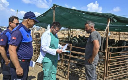 Muratpaşa’da Kurban Hareketliliği Başladı: Ermenek’e İlk Sevkiyatlar Geldi